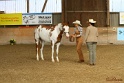 23-APHA SS_054